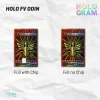 holo-fv-odin