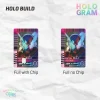 holo-build